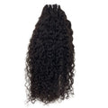 Burmese Curly