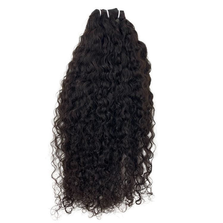 Burmese Curly